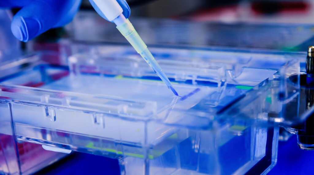 Engineering Considerations for Candidate Selection and Developability 9