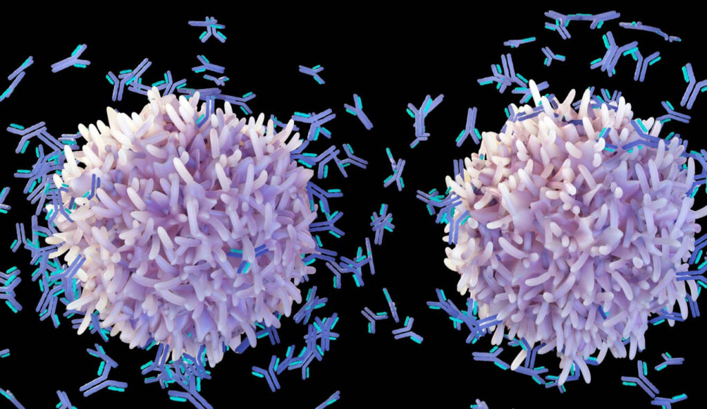 Engineering-Innovative-Formats-and-Scaffolds