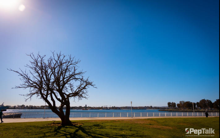 Bio International Convention 2026 Biotech Pro’s Practical Guide to Maximize ROI 5