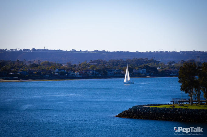 Bio International Convention 2026 Biotech Pro’s Practical Guide to Maximize ROI 7